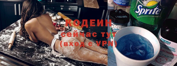 гидра Заводоуковск